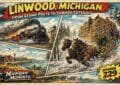 History Of Linwood Michigan
