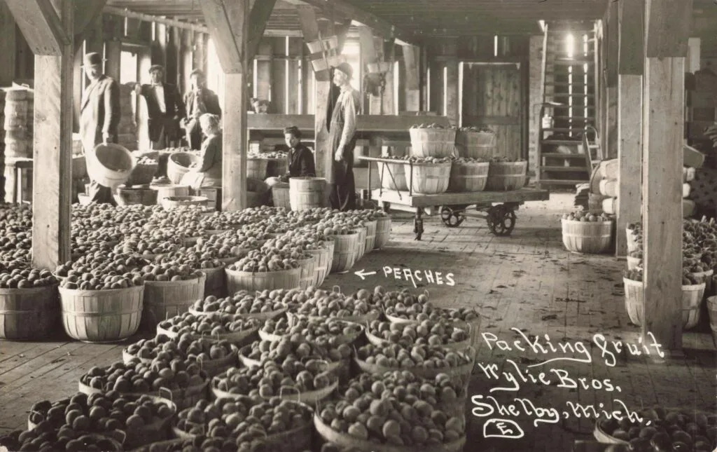 Mylie Brothers Fruit Packing 