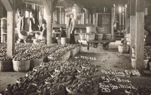 Inside A Wooden Fruit Packing House, Dozens Of Bushel Baskets Filled With Peaches Sit On The Floor While Several Workers Stand And Sit Nearby.