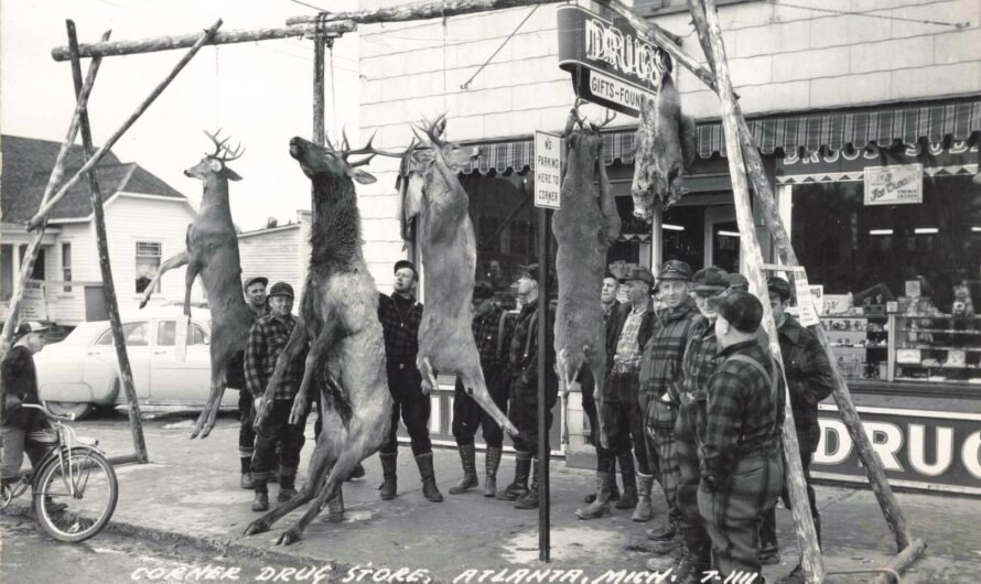 History Of Atlanta Michigan (1900–1950) – From Lumber Camp To Remarkable Elk Capital