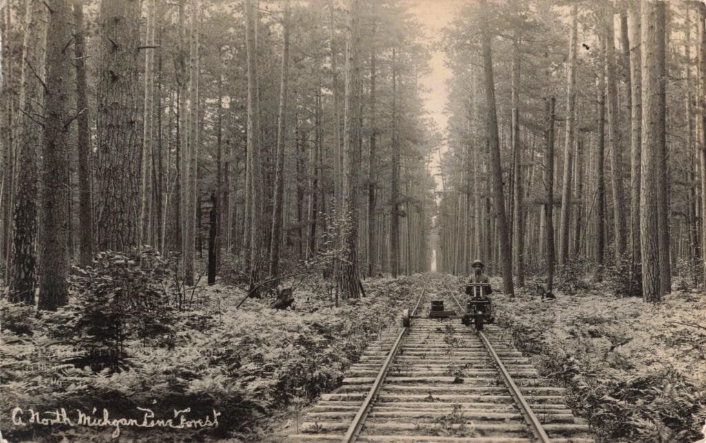 Man On Railway In Dense Forest