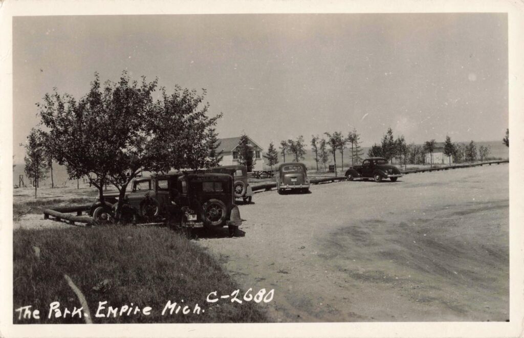 Vintage Cars Parked Near Trees.