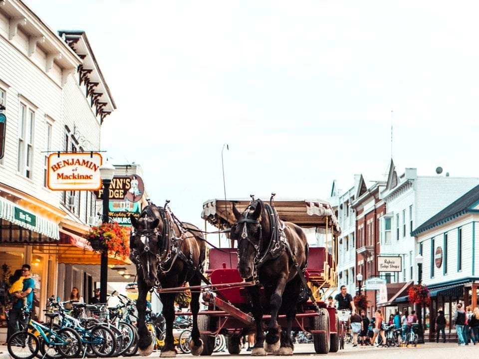 Horse-Drawn Carriage On Busy Street.