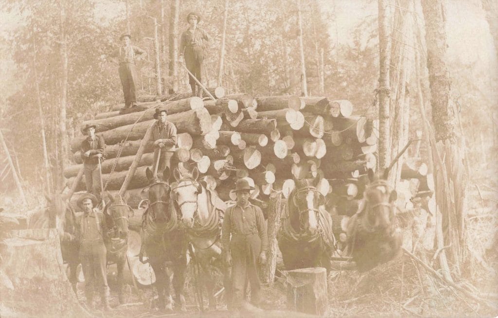 Men With Horses And Logs In Forest