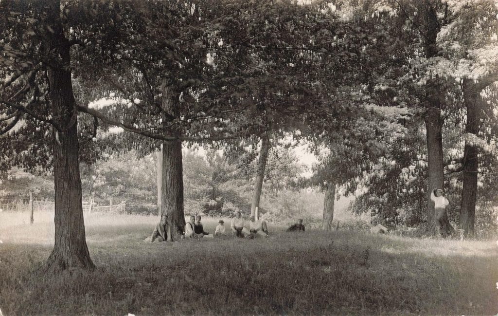 A Group Under A Shady Tree In Sodus