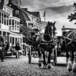 History Of Horses On Mackinac Island