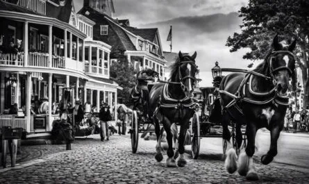 History Of Horses On Mackinac Island