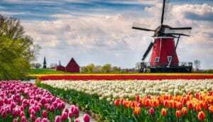 Holland Michigan D3L